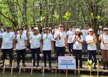 Program penanaman 500 pohon mangrove lewat program ZTE One Tree, One Future