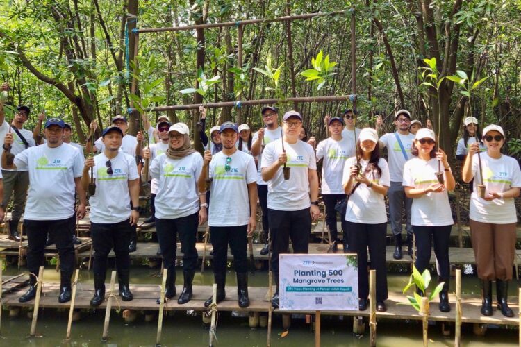 Program penanaman 500 pohon mangrove lewat program ZTE One Tree, One Future