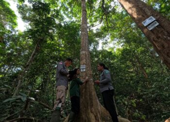 Kolaborasi Apple dan WWF Indonesia Selamatkan Ekosistem Bukit Tigapuluh