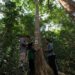 Kolaborasi Apple dan WWF Indonesia Selamatkan Ekosistem Bukit Tigapuluh