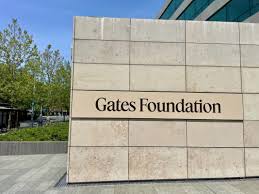 Setelah Pimpin Keuangan RI, Sri Mulyani Dapat Tugas Baru di Lembaga Milik Bill Gates